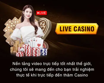 Cấp độ VIP Bạch Kim của Vnew88