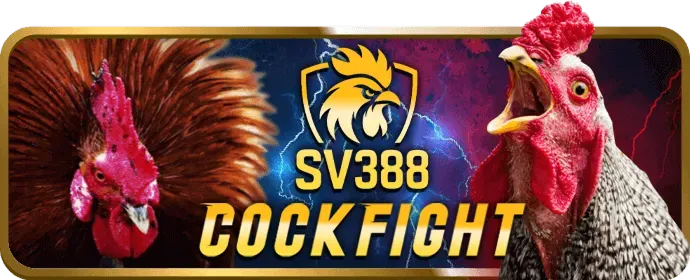 Minh họa hoàn tiền hàng ngày VNEW88